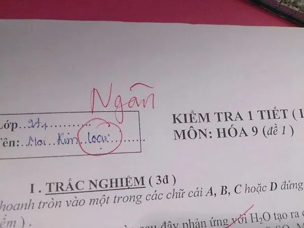 Những khoảnh khắc "mất não" hài hước khiến bạn gật gù: "Ừ đúng, chỉ có thể là học sinh" ảnh 3