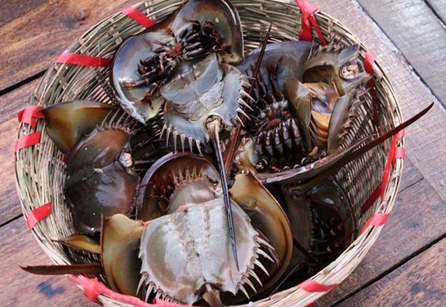 5 đặc sản “xấu hết phần thiên hạ” nhưng lại ngon khó cưỡng ở Việt Nam ảnh 3
