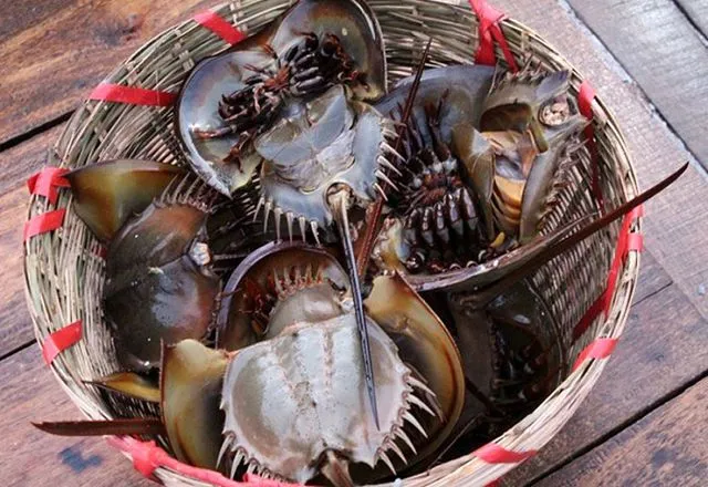 5 đặc sản “xấu hết phần thiên hạ” nhưng lại ngon khó cưỡng ở Việt Nam ảnh 3