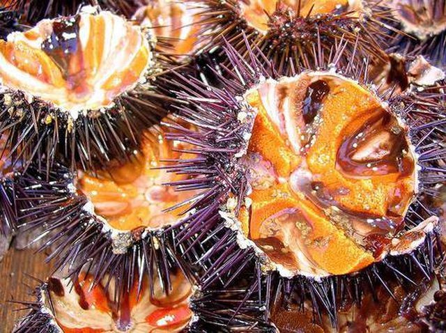 5 đặc sản “xấu hết phần thiên hạ” nhưng lại ngon khó cưỡng ở Việt Nam ảnh 7