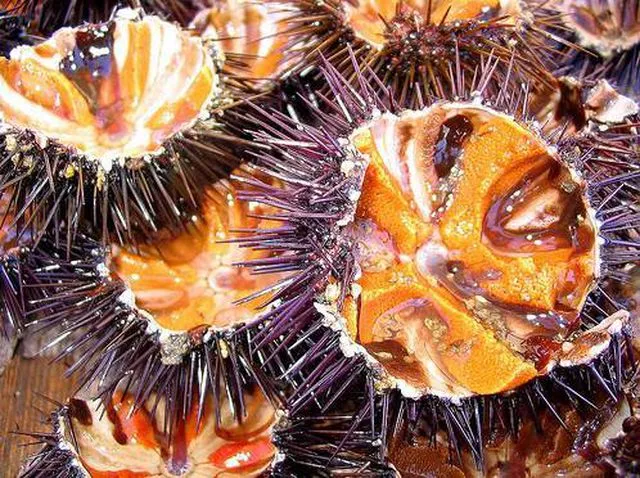 5 đặc sản “xấu hết phần thiên hạ” nhưng lại ngon khó cưỡng ở Việt Nam ảnh 7