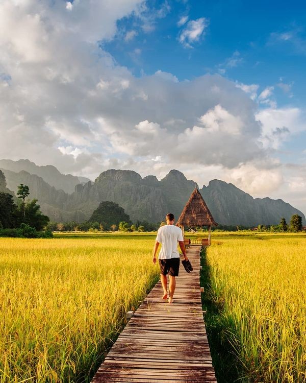Cây cầu gỗ giữa đồng ruộng xanh rì khiến người ta phải thốt lên: Lào đẹp đến thế này ư? ảnh 1