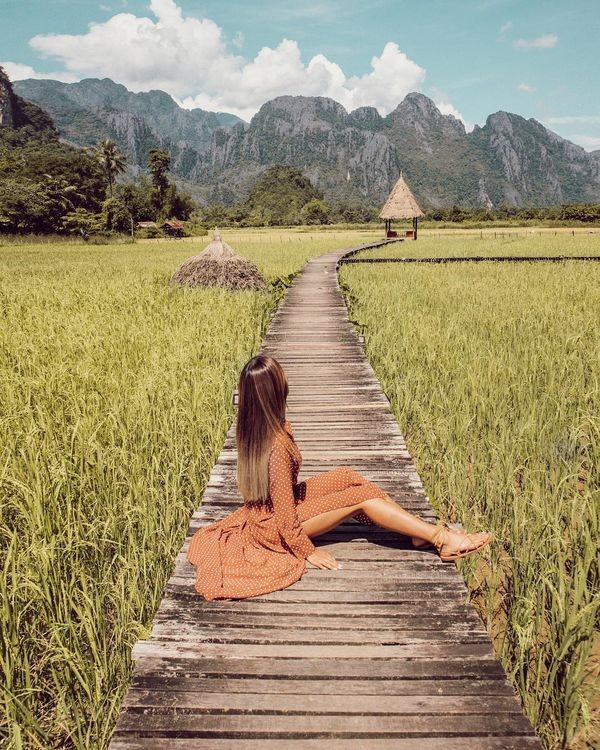 Cây cầu gỗ giữa đồng ruộng xanh rì khiến người ta phải thốt lên: Lào đẹp đến thế này ư? ảnh 6
