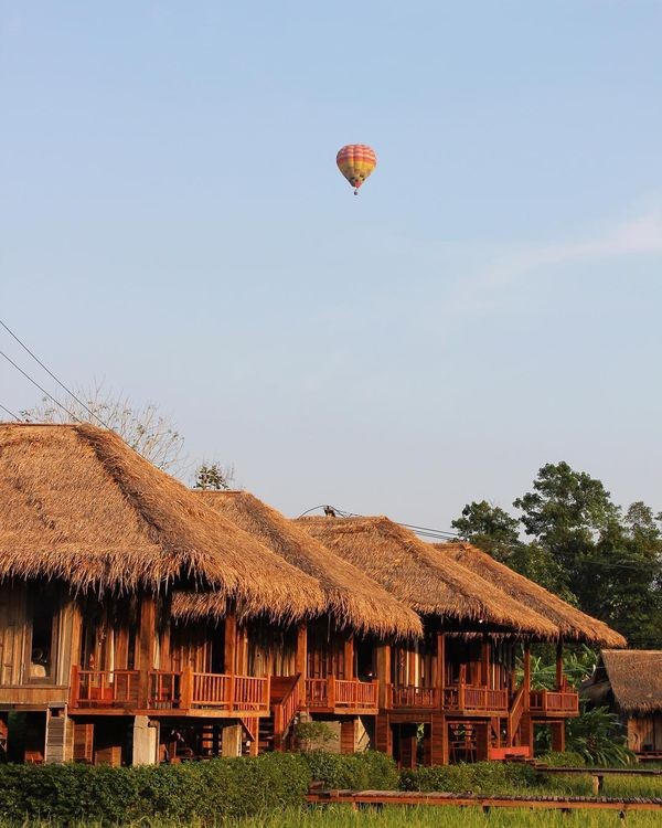 Cây cầu gỗ giữa đồng ruộng xanh rì khiến người ta phải thốt lên: Lào đẹp đến thế này ư? ảnh 10