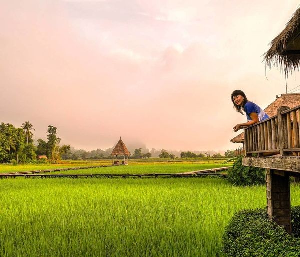 Cây cầu gỗ giữa đồng ruộng xanh rì khiến người ta phải thốt lên: Lào đẹp đến thế này ư? ảnh 13