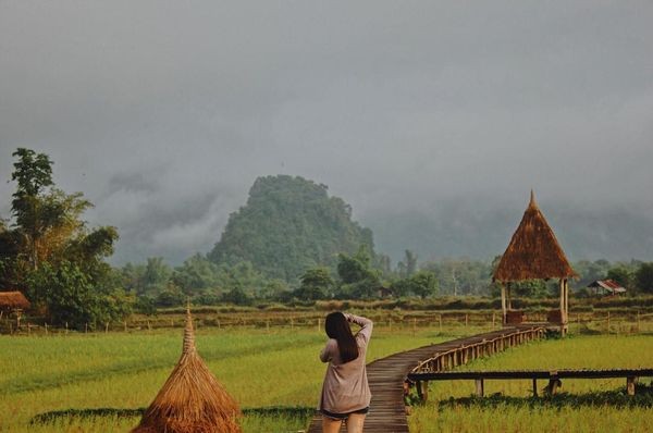 Cây cầu gỗ giữa đồng ruộng xanh rì khiến người ta phải thốt lên: Lào đẹp đến thế này ư? ảnh 23