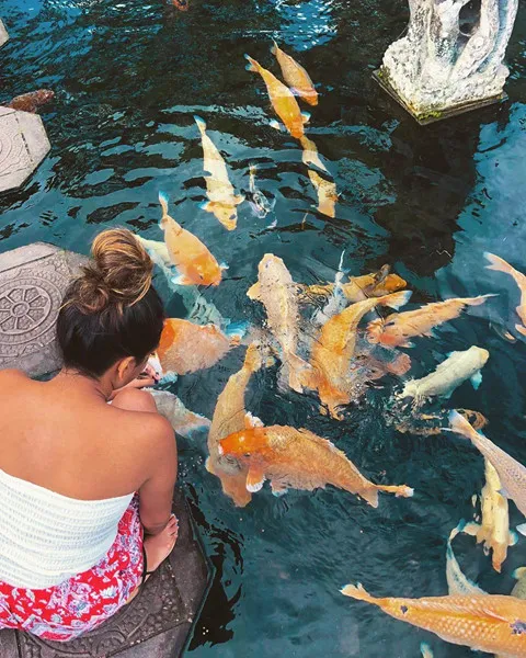 Hồ cá chép ở Bali trở thành điểm "sống ảo" thu hút giới trẻ ảnh 12