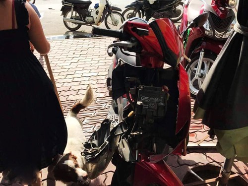 Nóng mạng xã hội: Phẫn nộ trò đùa quái ác khiến 2 nữ sinh té xe, may chục mũi ảnh 3