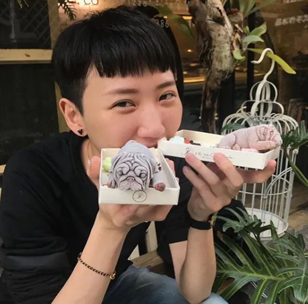 Ngạc nhiên chưa. Đây là kem chứ không phải chú cún mới sinh đâu nhé! ảnh 4