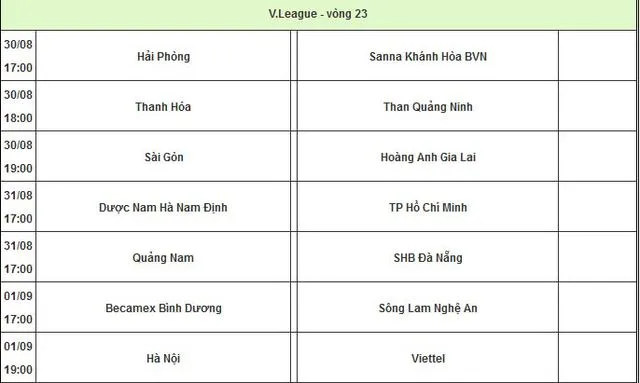 "VFF và VPF cần thay đổi lịch V-League vì đội tuyển Việt Nam" ảnh 2