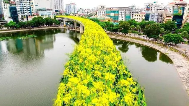 Bất ngờ hình ảnh "chế" đường sắt trên cao Cát Linh - Hà Đông thành con đường hoa cải ảnh 2