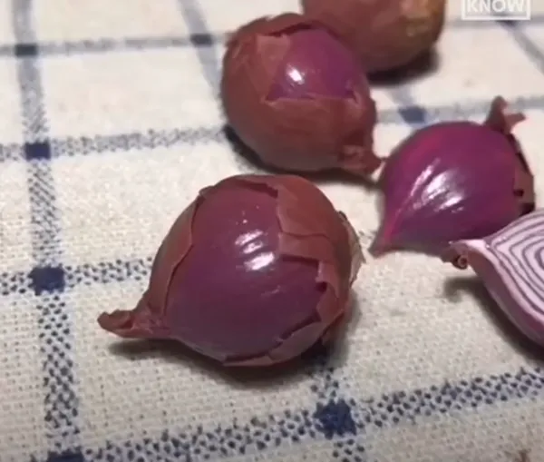 Trời ơi tin được không? Cả một nông trại rau củ... mini! ảnh 2