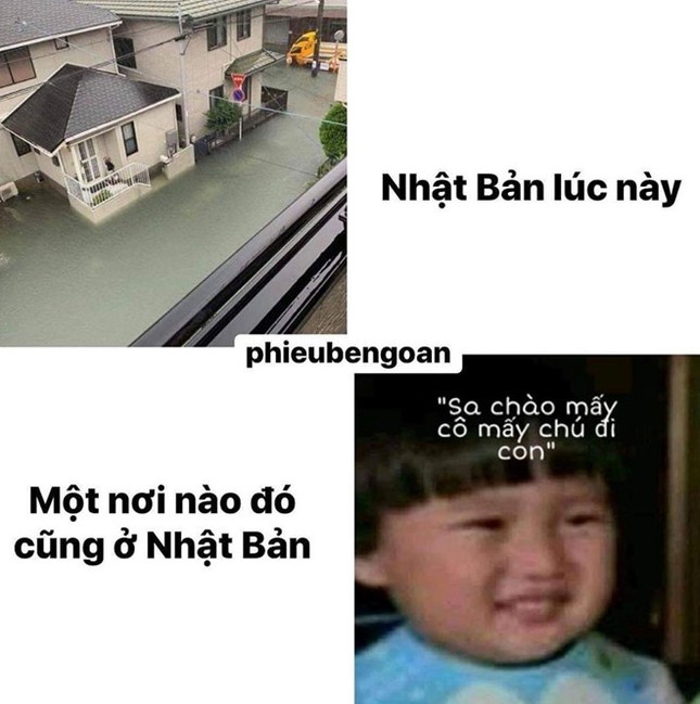 Cậu bé lai Việt - Nhật và câu nói "Sa chào cô chú đi con!" bỗng thành hiện tượng khắp MXH ảnh 8