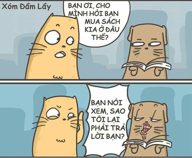 Loạt ảnh chế theo trend "thế bạn nói xem sao mình phải trả lời bạn" ảnh 2