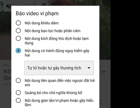 Dân mạng kêu gọi tẩy chay YouTuber NTN vì trò thả dao nguy hiểm ảnh 1