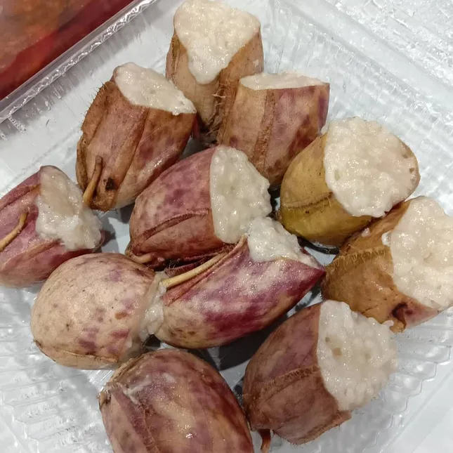 Cơm nếp nhồi cây ăn thịt, món ăn ngon lành và độc đáo của người Malaysia ảnh 5