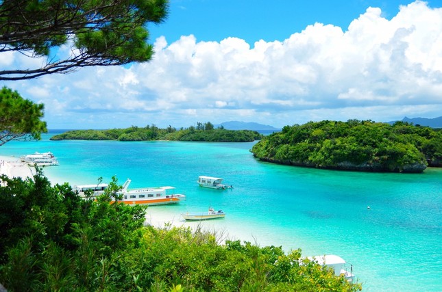 Bất ngờ chưa, Côn Đảo vào top 9 hòn đảo có vẻ đẹp huyền bí trên thế giới ảnh 5