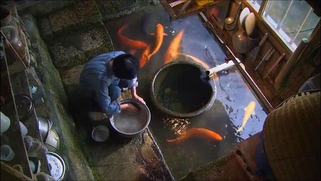 Đến ngôi làng có nước sạch đến mức người dân rửa bát, nấu cơm ngay ở kênh mương nuôi cá ảnh 4