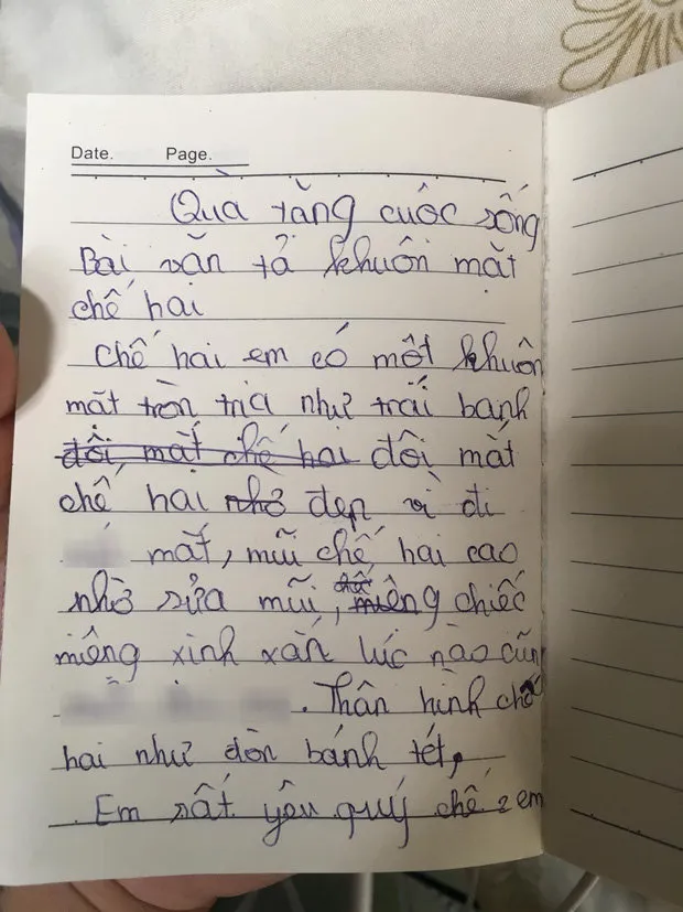 Cười ngất với bài văn tả chị gái của tween: "Khuôn mặt tròn như trái banh, mắt, mũi đã đi sửa" ảnh 1