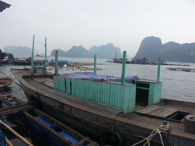Làng chài không Tết trên vịnh Bái Tử Long - ảnh 6