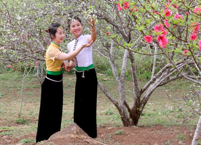 Dự thi ảnh: Thì thầm mùa xuân - ảnh 2