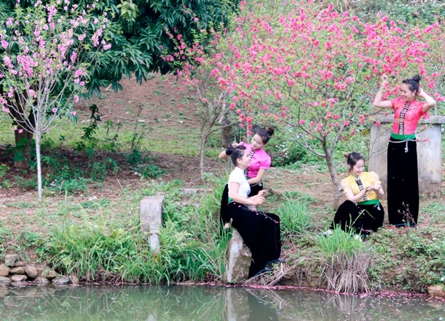 Dự thi ảnh: Thì thầm mùa xuân - ảnh 1