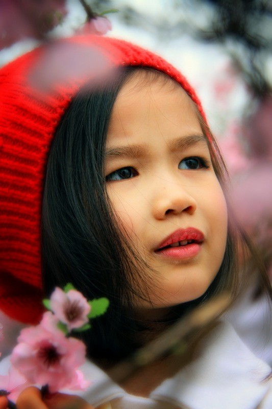 Dự thi ảnh: Sức Xuân - ảnh 20