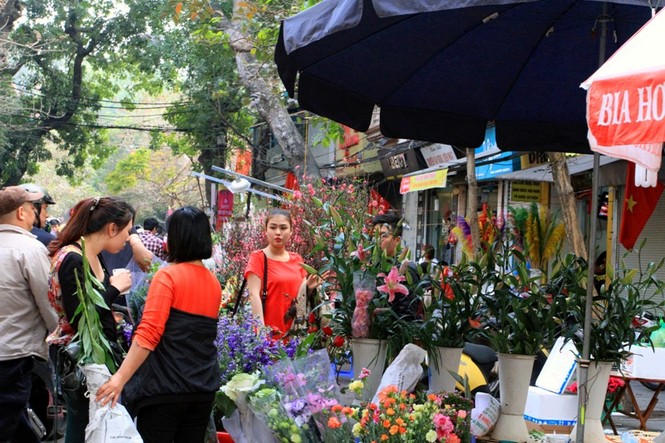 Dự thi ảnh: Sức Xuân - ảnh 10