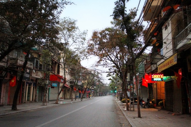 Dự thi ảnh: Phố phường sạch đẹp đón xuân - ảnh 2