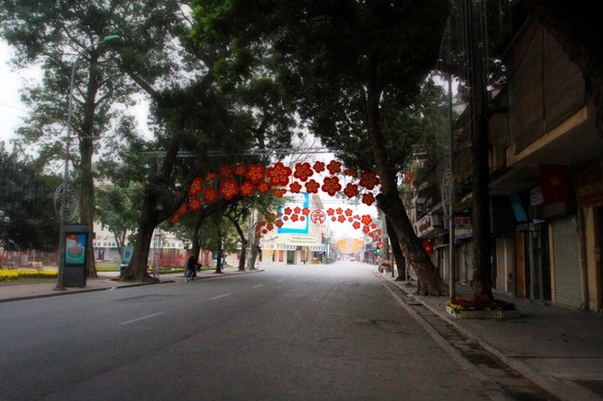Dự thi ảnh: Phố phường sạch đẹp đón xuân - ảnh 3