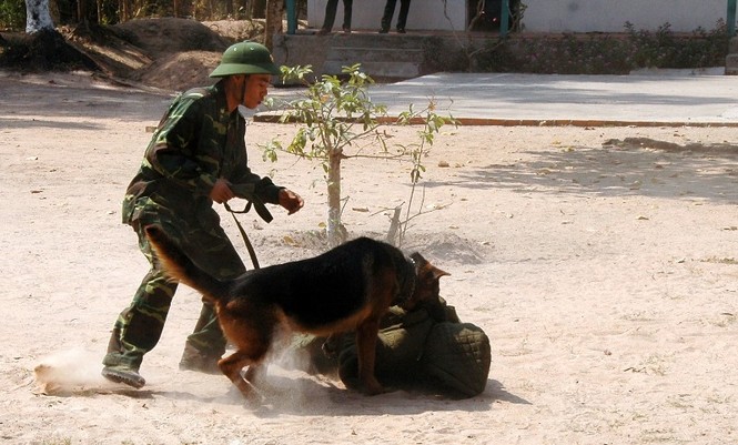 Biên phòng An Giang trấn áp tội phạm vùng biên - ảnh 8