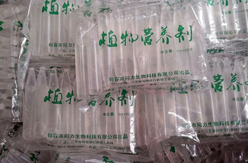 Cách phân biệt giá đỗ dùng chất kích thích - ảnh 4
