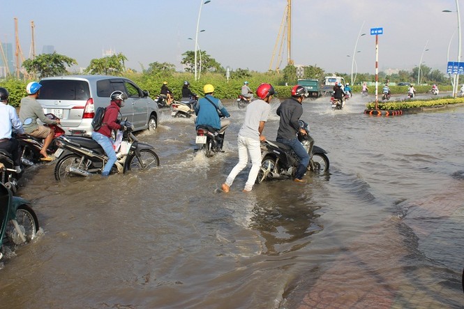 Dịch vụ ăn theo hốt bạc nhờ triều cường - ảnh 11