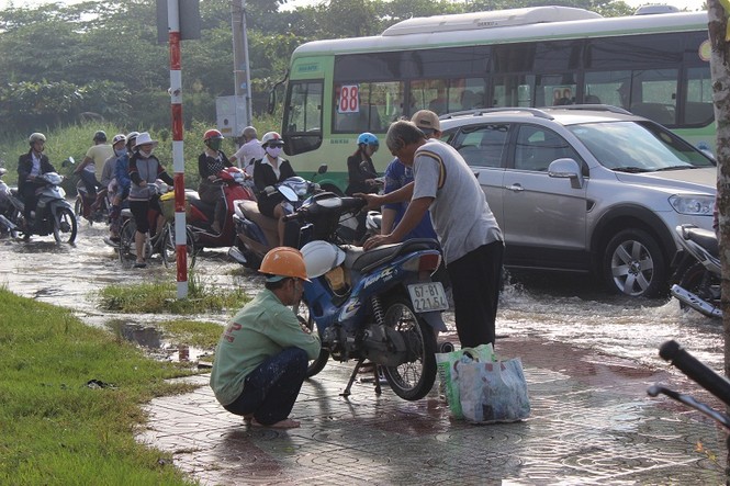 Dịch vụ ăn theo hốt bạc nhờ triều cường - ảnh 13