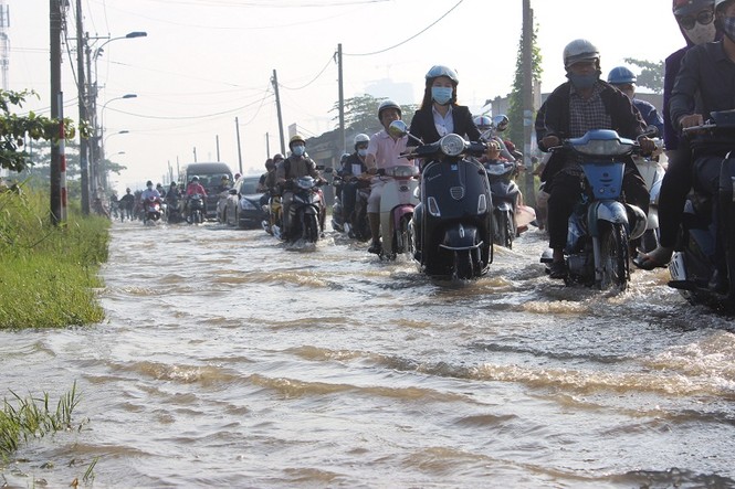 Dịch vụ ăn theo hốt bạc nhờ triều cường - ảnh 1