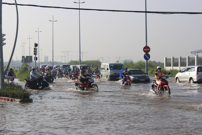 Dịch vụ ăn theo hốt bạc nhờ triều cường - ảnh 3