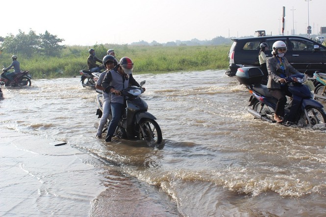 Dịch vụ ăn theo hốt bạc nhờ triều cường - ảnh 4