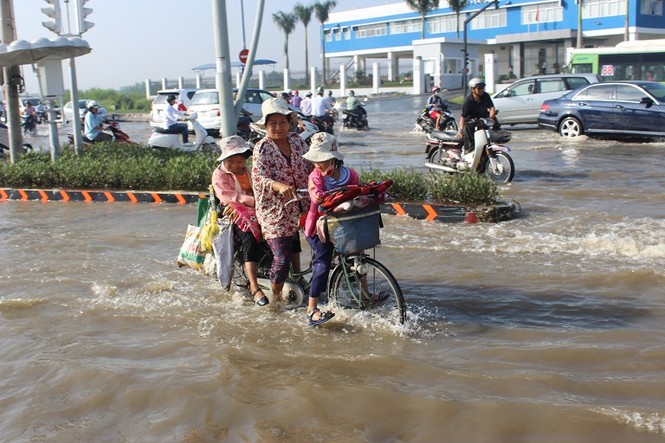 Dịch vụ ăn theo hốt bạc nhờ triều cường - ảnh 5