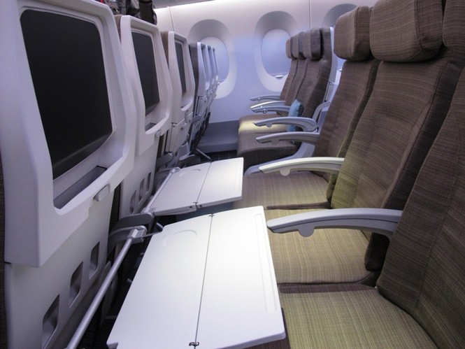 Máy bay của Vietnam Airlines sẽ có giường nằm và internet - ảnh 2