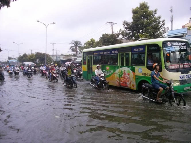 Đường phố Cần Thơ chìm trong nước do triều cường - ảnh 1