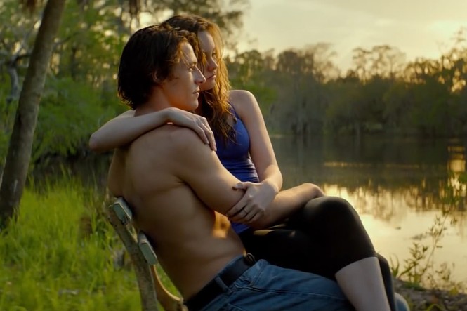 Phim mới của Nicholas Sparks chưa “nổi” đã “chìm” - ảnh 3