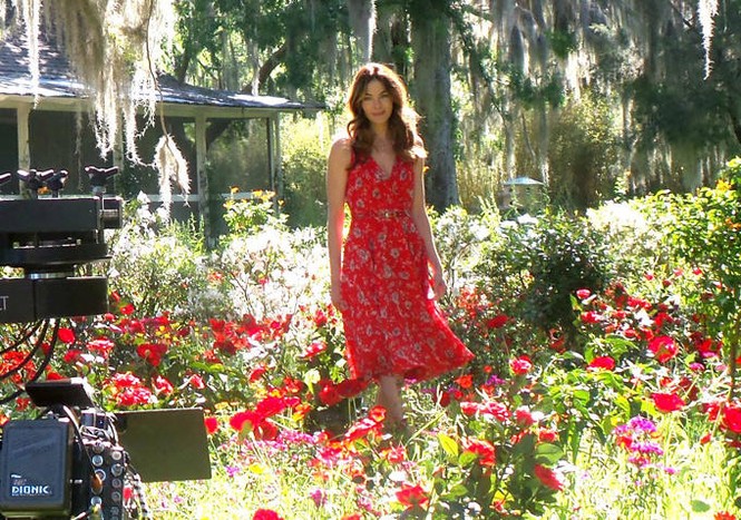 Phim mới của Nicholas Sparks chưa “nổi” đã “chìm” - ảnh 6