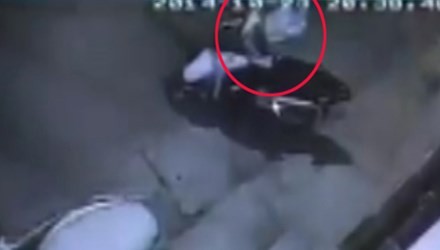 10 video ‘hot’: Giòi lúc nhúc trong đặc sản sấu dầm - ảnh 4