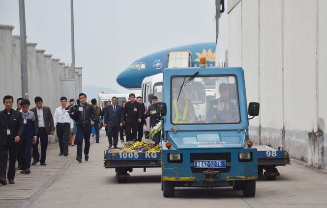 ẢNH: Toàn cảnh đón di hài 3 nạn nhân người Việt vụ MH17 - ảnh 5