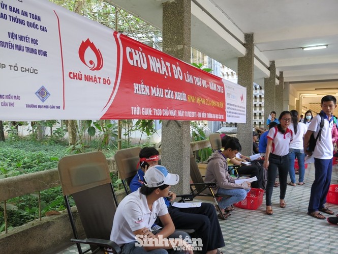 ĐH Cần Thơ ngân hàng máu sống cho người bệnh - ảnh 2