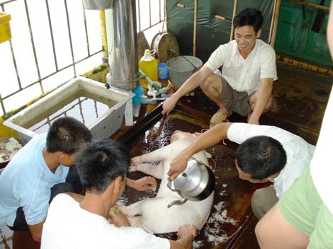 Những chuyến tàu 'xông biển' đầu năm - ảnh 1