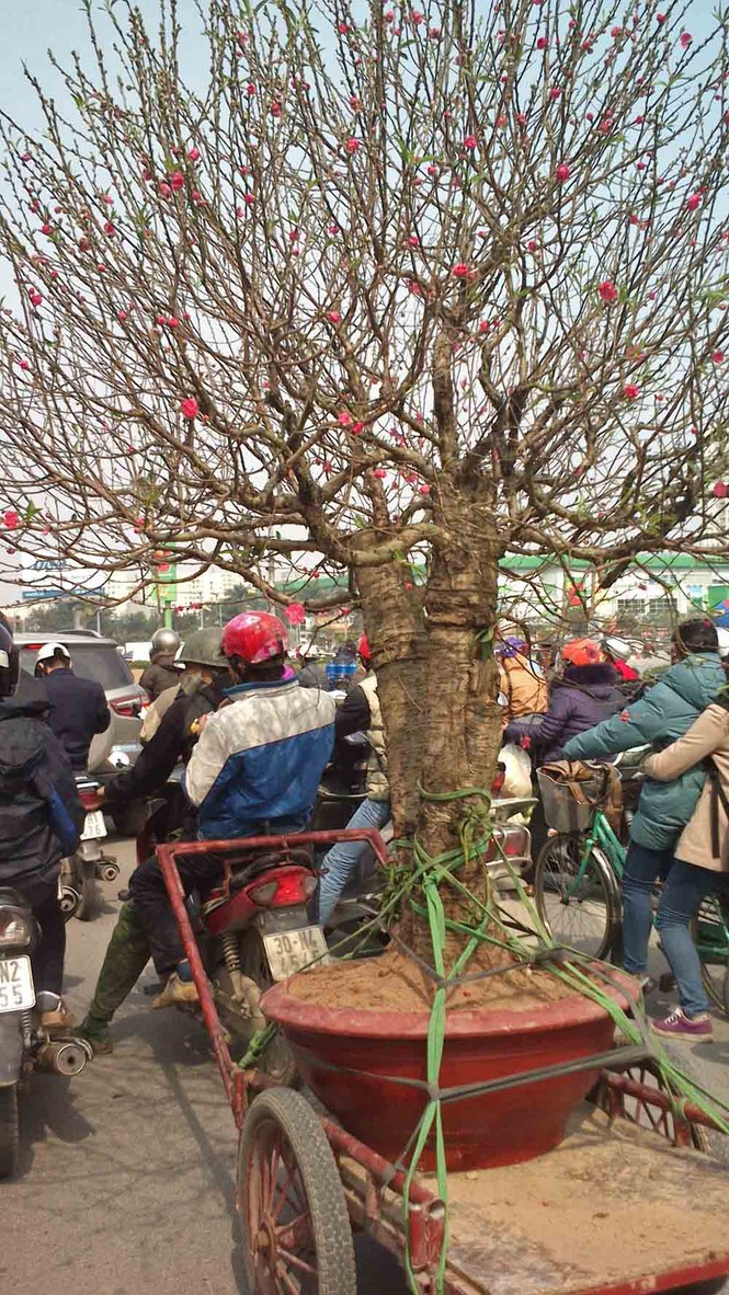 Những tuyến đường 'hành xác' ở Hà Nội vào giờ cao điểm - ảnh 15