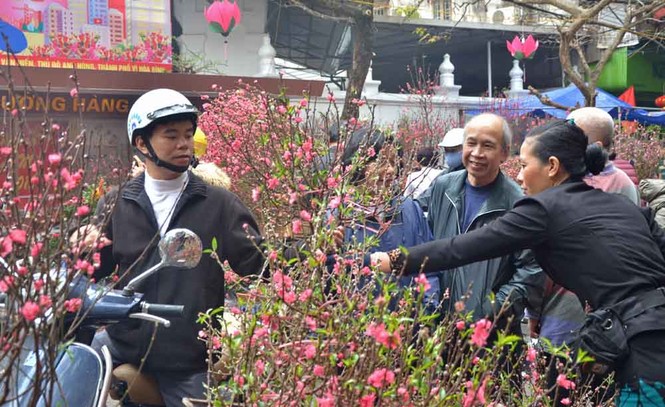 Chen chân ở chợ hoa Hàng Lược tìm lại Tết xưa - ảnh 2