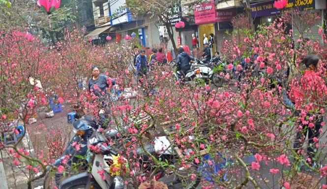 Chen chân ở chợ hoa Hàng Lược tìm lại Tết xưa - ảnh 7
