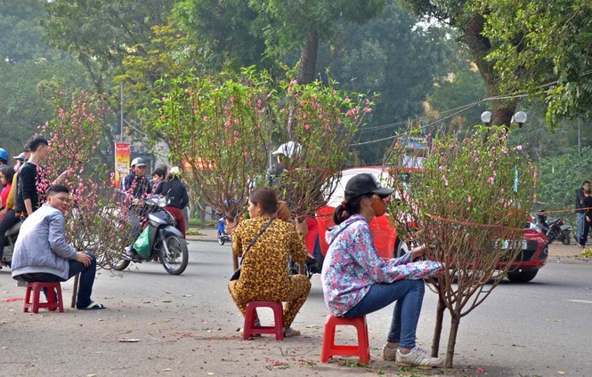 Tết Việt Online: Khắp nơi tưng bừng đón năm mới - ảnh 74